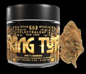 King Tut cannabis buds from BeLeaf dispensary offering a balanced hybrid experience.